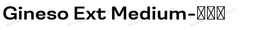 Gineso Ext Medium字体转换